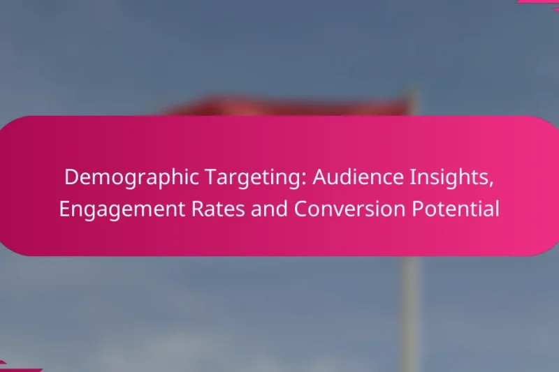人口统计定位：受众洞察、参与率和转化潜力